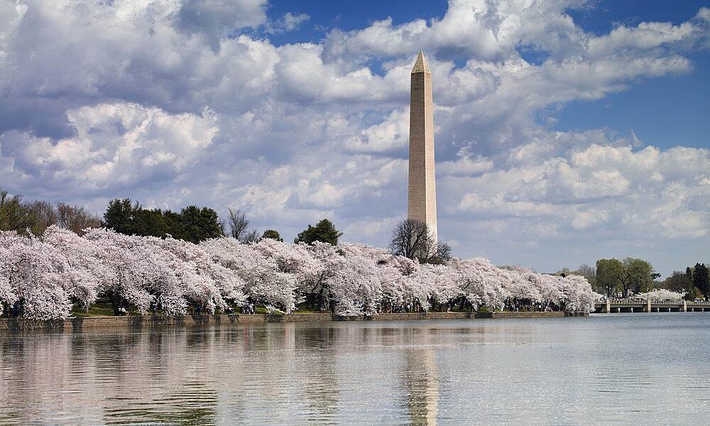 picture of Washington, DC
